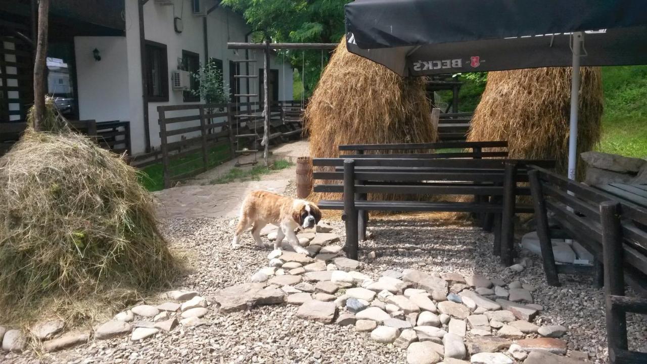 Pension Casa Drumetului П'ятра-Нямц Екстер'єр фото