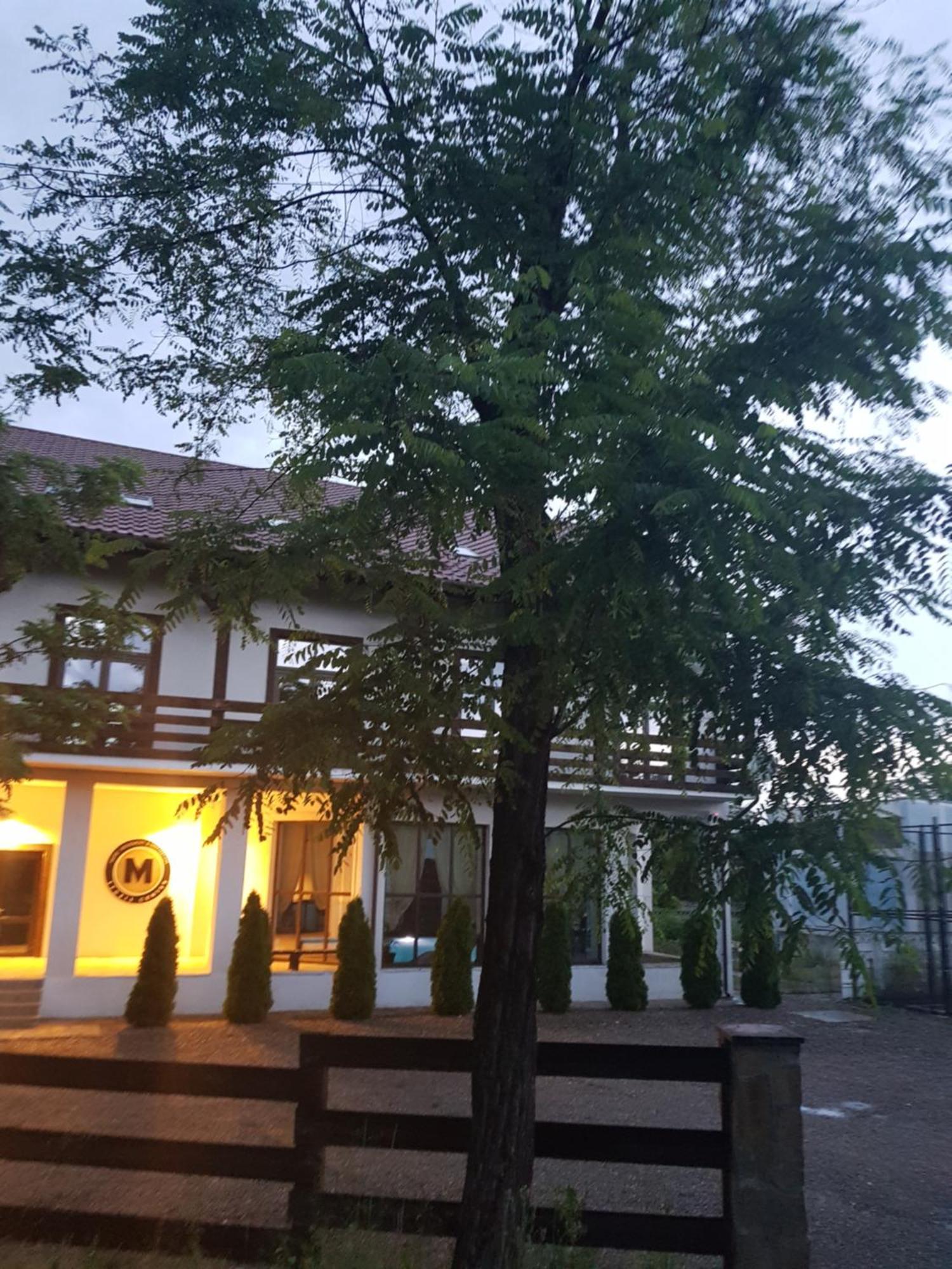 Pension Casa Drumetului П'ятра-Нямц Екстер'єр фото